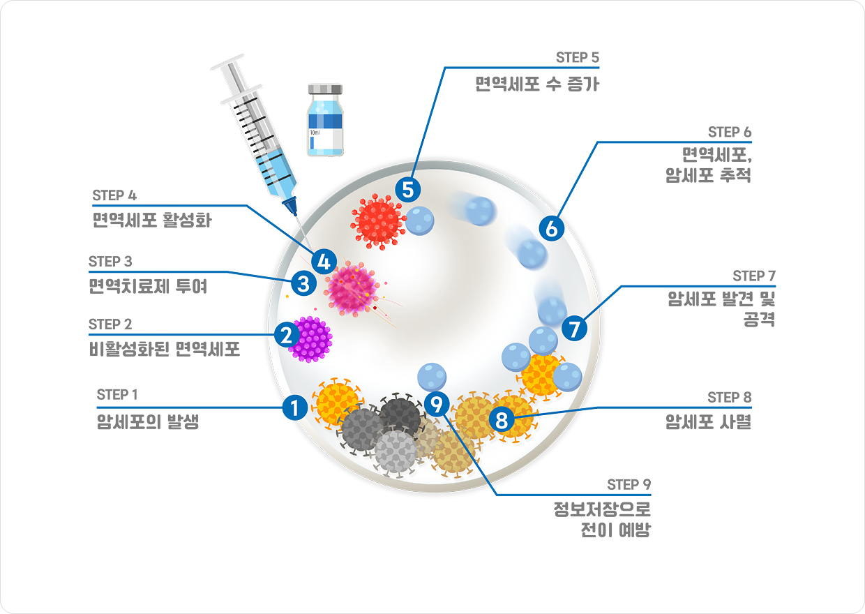 면역치료의 작용 9단계: STEP 1 암세포 발생, 2 비활성화된 면역세포, 3 면역치료제 투여, 4 면역세포 활성화, 5 면역세포 수 증가, 6 면역세포, 암세포 추적, 7 암세포 발견 및 공격, 8 암세포 사멸, 9 정보저장으로 전이 예방
