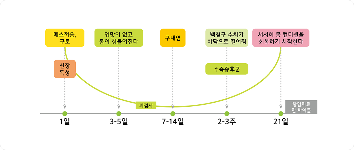 1일(신장독성, 메스꺼움, 구토), 3~5일(입맛 감소, 피로), 7~14일(구내염), 2~3주(수족증후군, 백혈구 수치 저하), 21일(몸 컨디션 서서히 회복)
