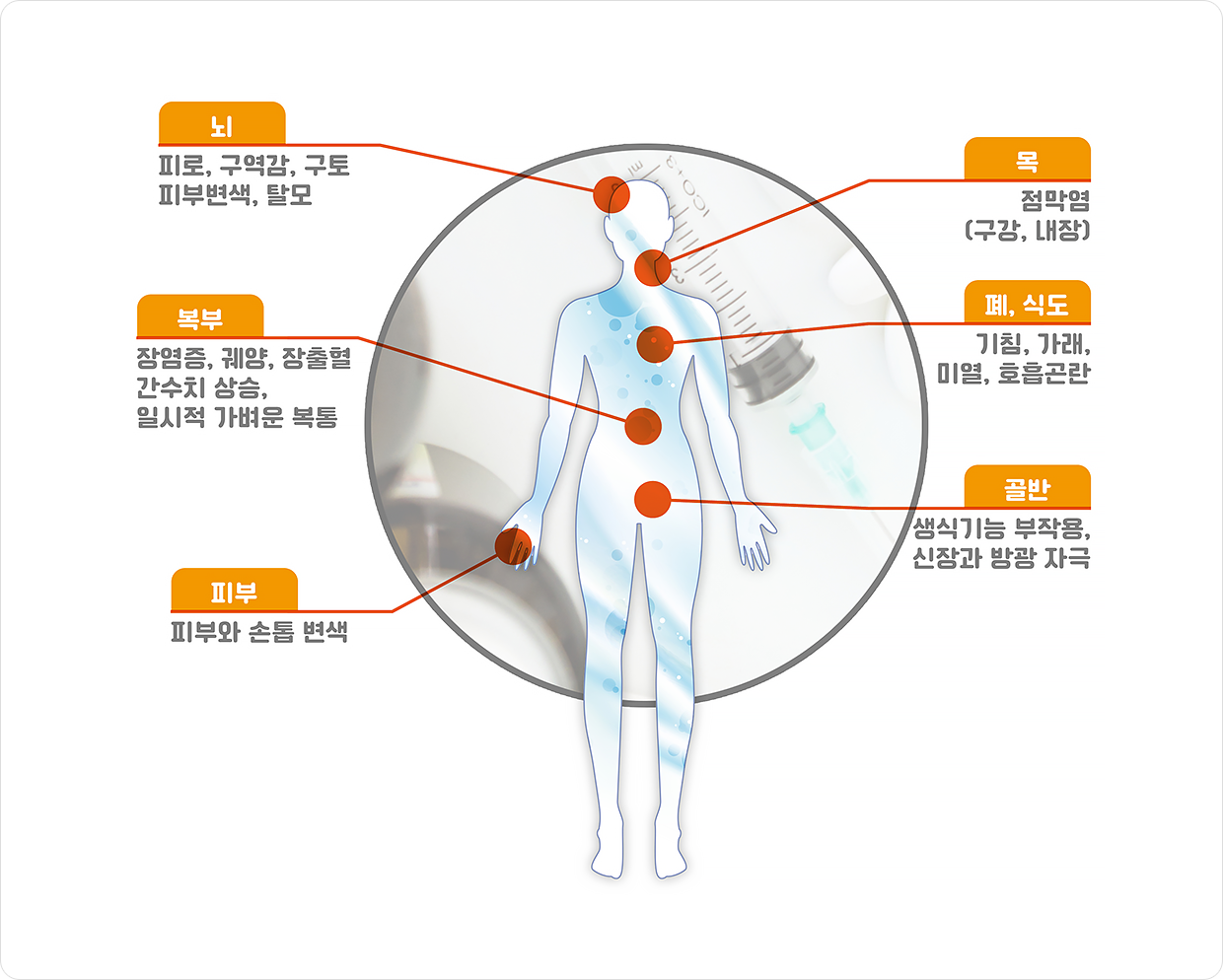 신체 부위별 부작용 증상: 뇌(피로, 구역감, 구토, 피부변색, 탈모), 목(구강·내장 점막염), 폐·식도(기침, 가래, 미열, 호흡곤란), 복부(장염증, 궤양, 잠출혈, 간수치 상승, 일시적 가벼운 복통), 골반(생식기능 부작용, 신장과 방광 자극), 피부(피부와 손톱 변색)